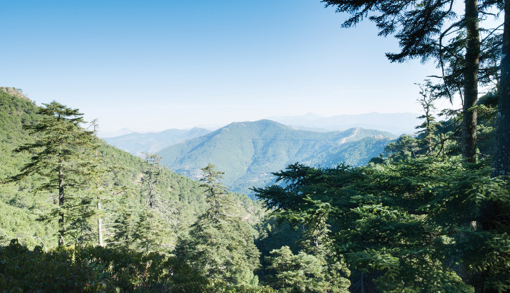 parques_naturales_en_costa_del_sol_malaga